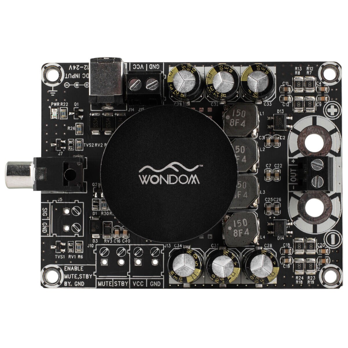 WONDOM AAAB31184 100W Mono Amp Board